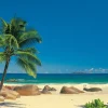 Brico Komar Muurfoto Seychellen 270X194Cm- Fotobehang
