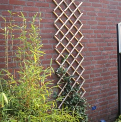 Tuinhout|Brico Nature Bamboeklimrek 70X180Cm