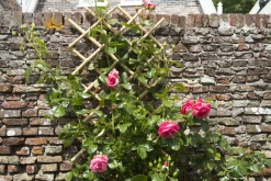Tuinhout|Brico Nature Bamboeklimrek 100X200Cm