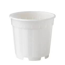 Brico Nature Orchideeen Pot Transparant O12Cm- Plantenpotten En -Bakken