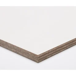 Multiplex|Brico Paintplex Multiplex Plaat 122X244Cm 12Mm