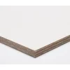 Multiplex|Brico Paintplex Multiplex Plaat 122X244Cm 9Mm