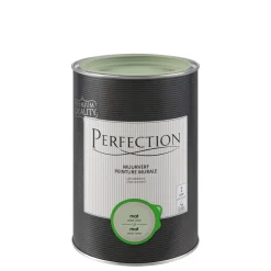 Brico Perfection Ultradekkende Muurverf Aloe Vera Mat 1L- Muurverf