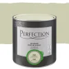 Brico Perfection Ultradekkende Muurverf Lindebloesem Mat 2,5L- Muurverf