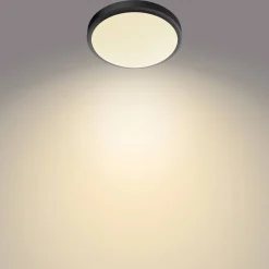 Badkamerverlichting|Brico Philips Plafondlamp Doris Zwart O31,3Cm 17W