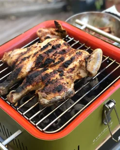 Brico Rosle Houtskoolbarbecue No. 1 Belly F50 66,5X73,5X106Cm- Houtskool Barbecue