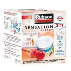 Luchtontvochtigers|Brico Rubson Navulling Vochtopnemer Fruit Sensation 2X300G