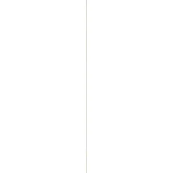 Timmerhout|Brico Schaaflat Eiken 5X18Mm 240Cm