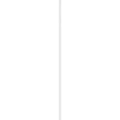 Timmerhout|Brico Schaaflat Grenen Gegrond Wit 16X45Mm 270Cm