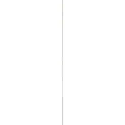 Timmerhout|Brico Schaaflat Grenen 4X27Mm 270Cm
