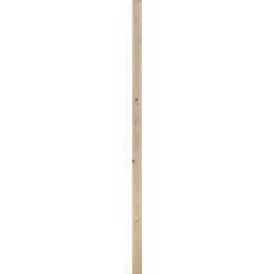 Timmerhout|Brico Schaaflat Vuren 44X69Mm 270 Cm