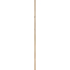 Timmerhout|Brico Schaaflat Vuren 44X69Mm 210Cm