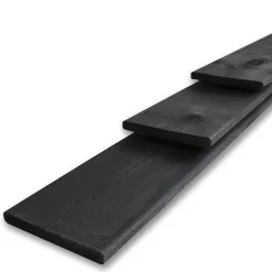 Tuinhout|Brico Schuttingplank Zwart 1,6X14X180Cm