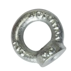Brico Sencys Oogmoer Vrouwelijk M8 Staal Gegalvaniseerd 20Mm- Moeren