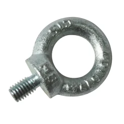 Brico Sencys Ringbout Gegalvaniseerd M8 20Mm 1 Stuk- Moeren