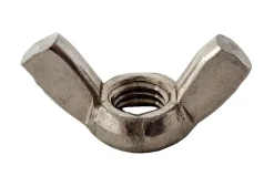 Brico Sencys Vleugelmoer Rvs M10 5St- Moeren