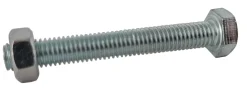 Brico Sencys Zeskantbout + Verzinkt Moer M8X120Mm 4St- Bouten