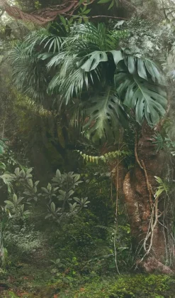 Brico Smart Art Fotobehang Groene Jungle- Fotobehang