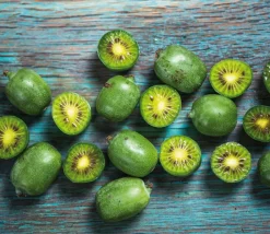 Brico Smoothie Mix - Mix Van 8 - Goji,Cranberry,Bes, Kiwi - Pot 9Cm - Hoogte 25-40Cm- Planten