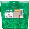 Brico Spax Renovatieschroef 'T-Star' Wirox 4.5X50Mm 350 Stuks- Schroeven