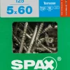 Brico Spax Terrasschroef A2 Rvs 60X5Mm 125St- Tuinbeslag & Terrasschroeven