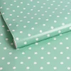 Muurdecoratie|Brico Transform Zelfklevende Decoratiefolie Dotty Mint 45X200Cm