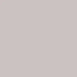 Muurdecoratie|Brico Transform Zelfklevende Decoratiefolie Uni Taupe 45X200Cm