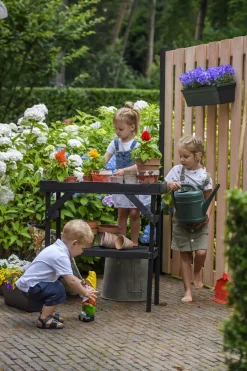 Brico Tuinpaal Zwarte Den 6,8X6,8X270Cm- Tuinpalen
