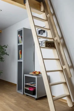 Brico Uitschuifbare Molenaarstrap Voor Trapgat 60 X 90 Cm- Zoldertrappen